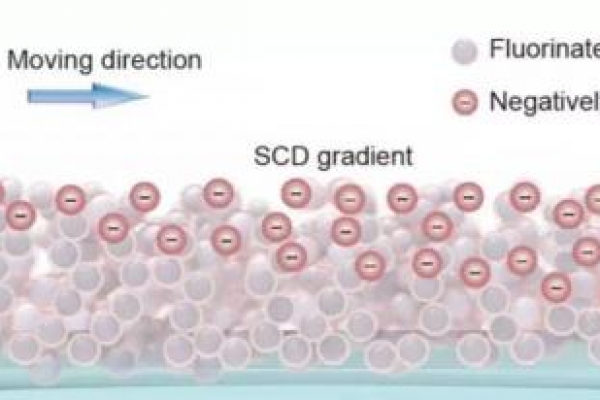 基础院邓旭教授团队在 Nature Materials发表研究成果