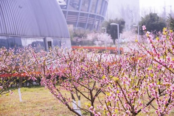 45篇SCI，16项专利，这位成电“追光者”再获全国大奖！