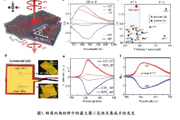 物理学院杨元杰教授团队在Nature Communications发表研究成果